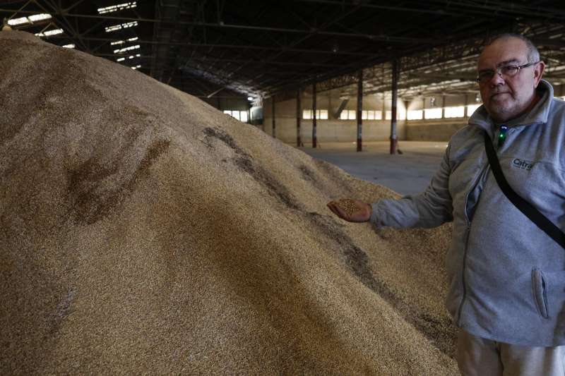 El cooperativista, Jaime Pons, muestra el arroz almacenado en la secadora de la Cooperativa Agrcola de San Pedro de Massanassa que ha quedado inutilizable por los efectos de las inundaciones provocadas por la dana del pasado 29 de octubre. EFEKai Frsterling