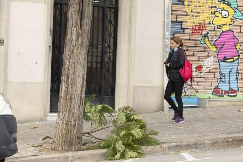 Una mujer camina por una calle con una rama de rbol cada por el viento. EFEMarta PrezArchivo