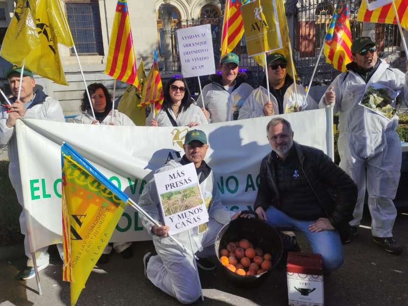 Protesta de AVA-ASAJA en Madrid contra la gestin y las polticas agrarias del Gobierno tras la DANA.  EPDA