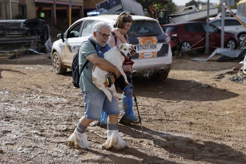 Un hombre rescata a su perro en la localidad de Paiporta, Valencia, este jueves. La Comunitat Valenciana intenta recuperarse de la peor dana del siglo en Espaa, que ha dejado casi un centenar de muertos en esa regin, adems de un inmenso escenario de daos en carreteras, calles e infraestructuras de numerosas localidades. EFE Biel Alio
