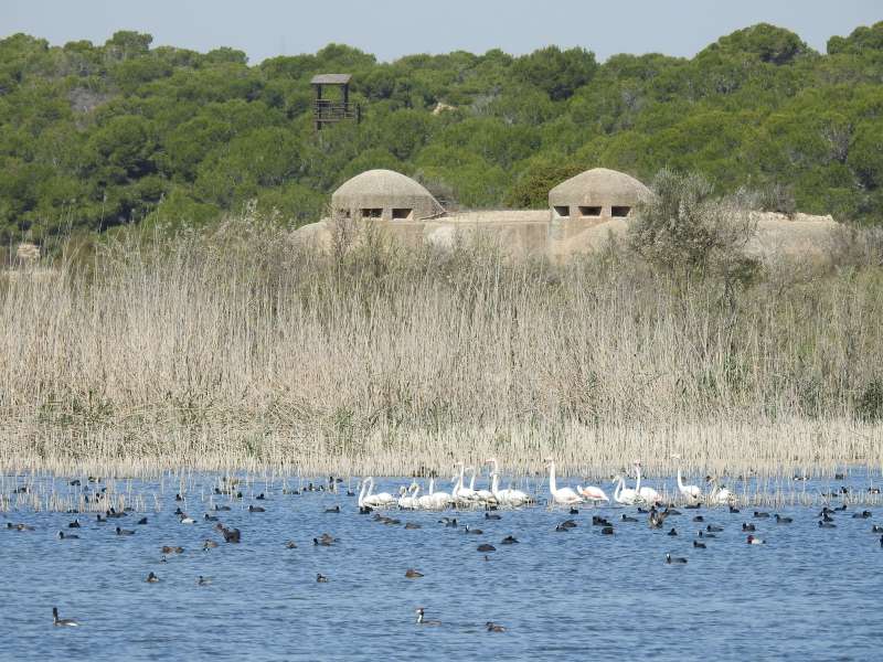 Entre sus objetivos se encuentra fomentar la transformacin ecolgica en la Comunitat Valenciana mediante la economa circular, la digitalizacin y la concienciacin social