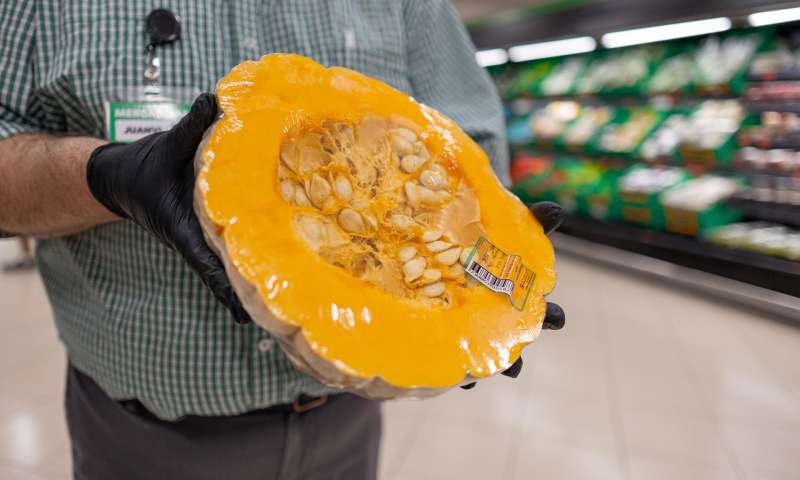 Un empleado de Mercadona muestra calabaza de asar, en una imagen difundida por la cadena de supermercados.
