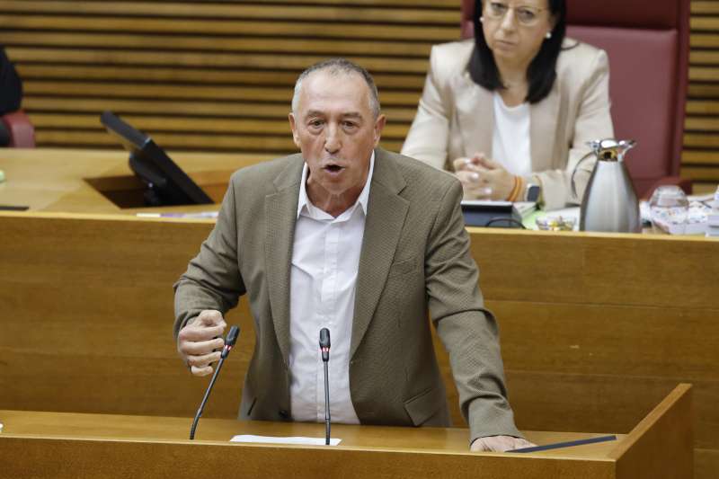 El portavoz del grupo de Comproms, Joan Baldov, durante el pleno de Les Corts Valencianes.Archivo EFEAna Escobar