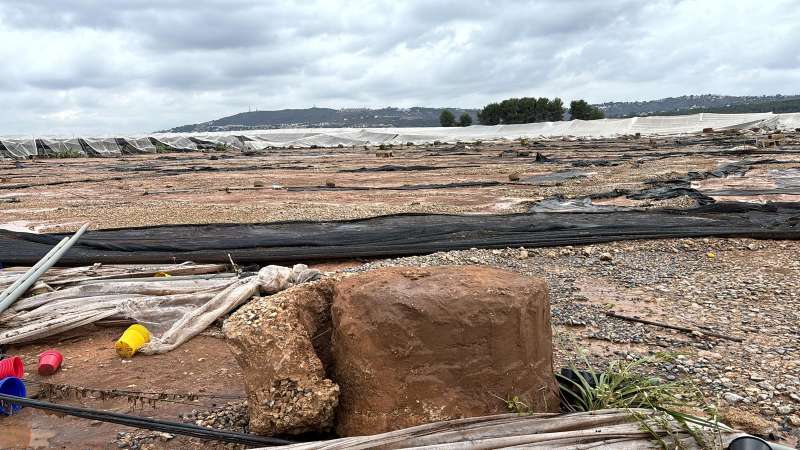 Devastacin provocada por la DANA en los campos del sector agrcola y ganadero. EPDA