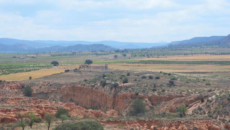 Rambla de Los Morenos (Requena), donde se han localizado materiales del Pleistoceno superior. EFEGeneralitat
