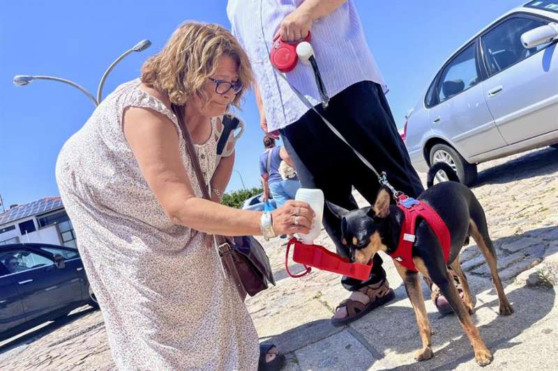 Una mujer da beber a su perro en un da de calor. EFECarlos Garca
