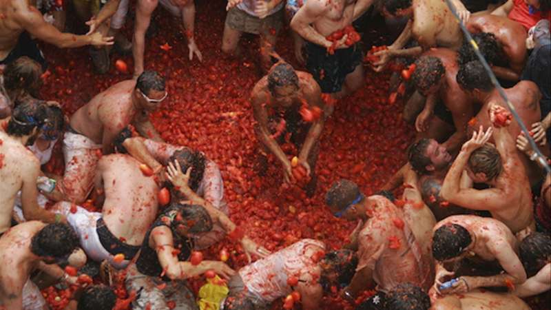 Tomatina.EPDA