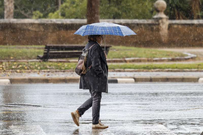 Chubascos en Valncia el pasado da 4 de diciembre. En la imagen una mujer camina bajo la lluvia. EFEAna EscobarArchivo
